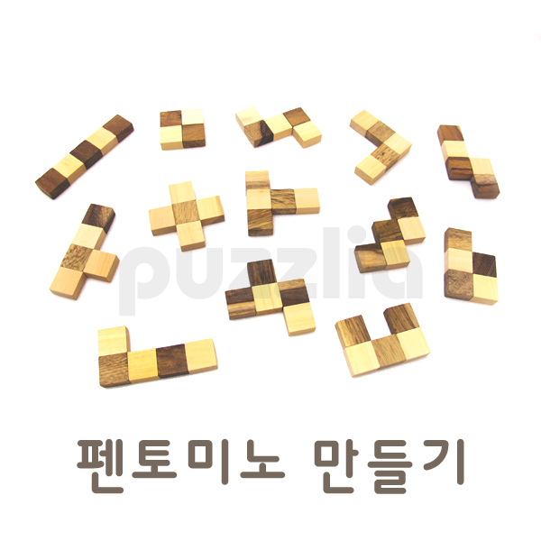 [퍼즐리아] 펜토미노만들기