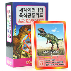 [메모리교육] 세계여러나라 육식공룡