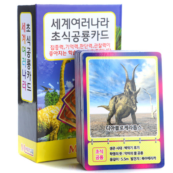 [메모리교육] 세계여러나라 초식공룡